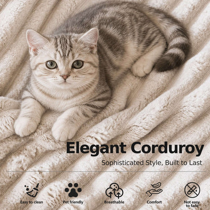 Best sofa for cat Convertible Sofa Bed-Modern Foldable Sofa For Small Spaces in cozy living room setting, featuring modular design and 50D high-density sponge.